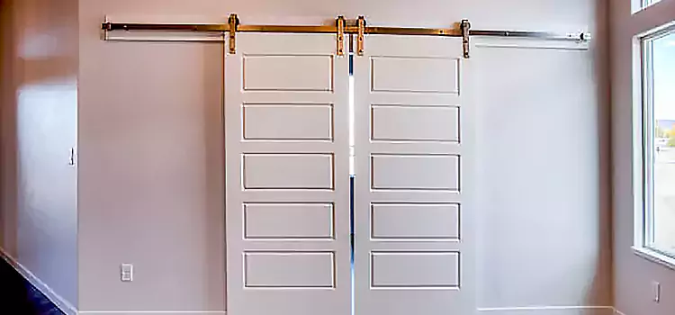 Glass Barn Door with Installation Hardware Kit West Falls Church