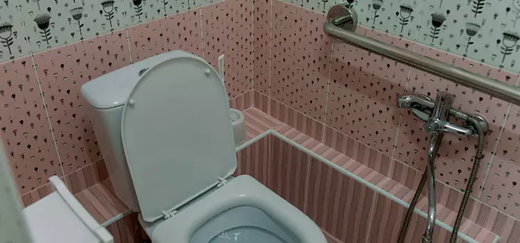 Meeting Diverse Needs With Accessible Restroom Solutions in West Falls Church, VA