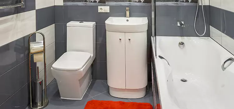Hansgrohe Shaving Mirror West Falls Church